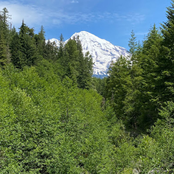 Meet your Posher, Logan - Picture 1 of 1